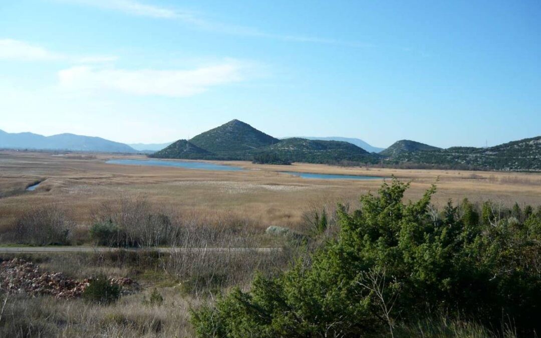 Okrugli stol na temu „Tršćaci – vrednovanje usluga slatkovodnih ekosustava“