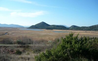 Okrugli stol na temu „Tršćaci – vrednovanje usluga slatkovodnih ekosustava“