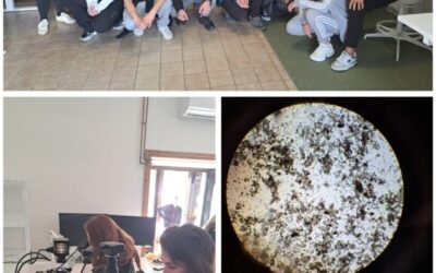 Novi laboratorijski prostori – dodatni iskorak u stručnosti i kapacitetima